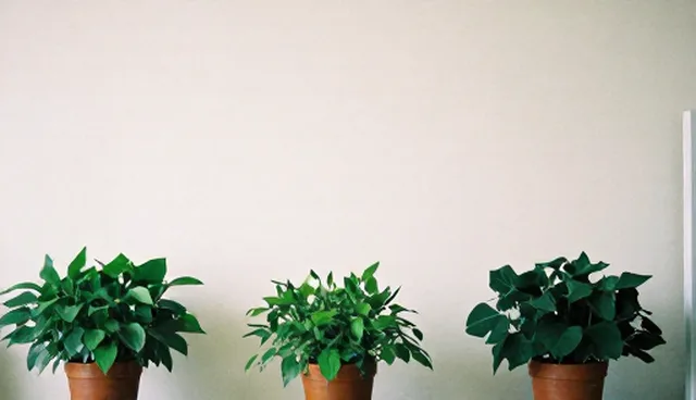 如何选择电动门节能方案？
